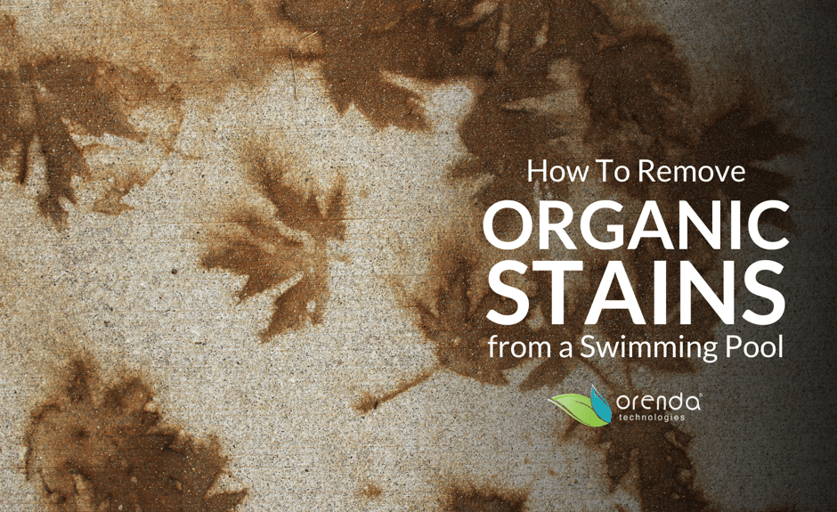 Tannins and Organic Staining in Pools